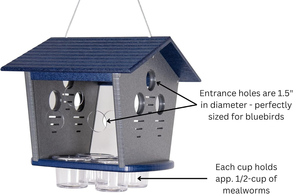 jcs wildlife enclosed bluebird feeder, keeps starlings and, close-up detail