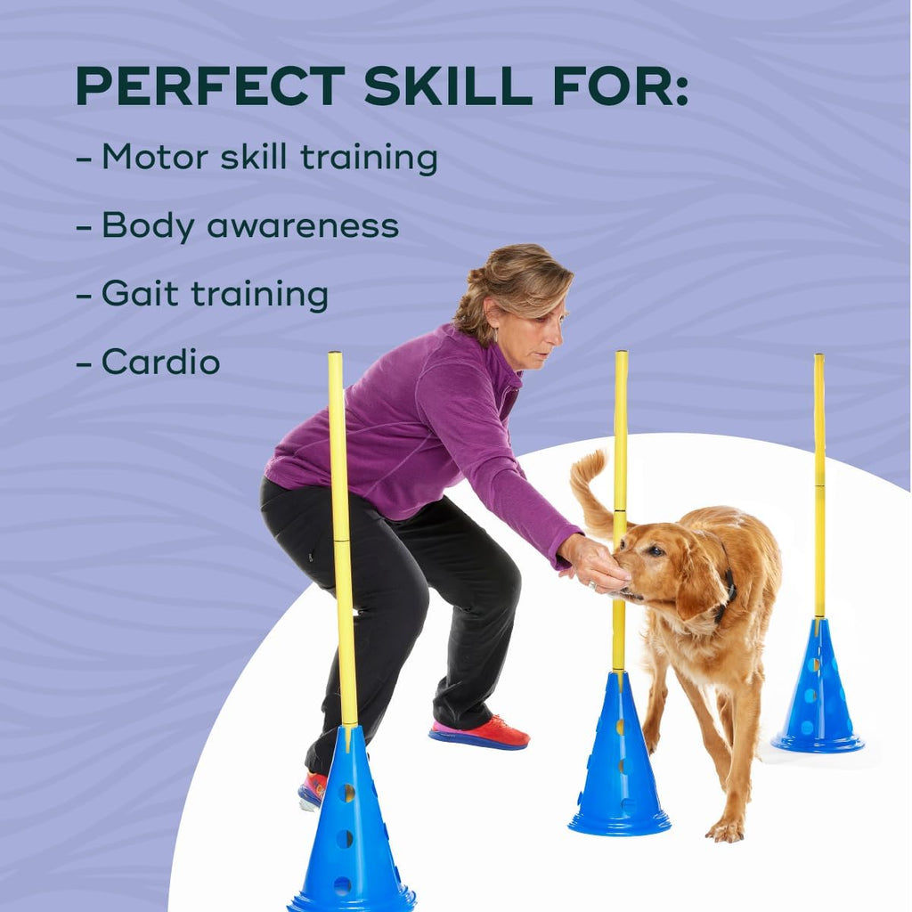 fitpaws® cavaletti set, dog agility, fitness, rehabilitation training showing dimensions