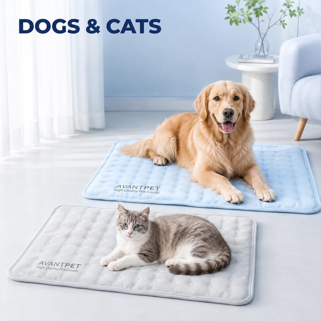 non-toxic gel cooling mat for dogs medium 23.6x19.7 on a desk or shelf