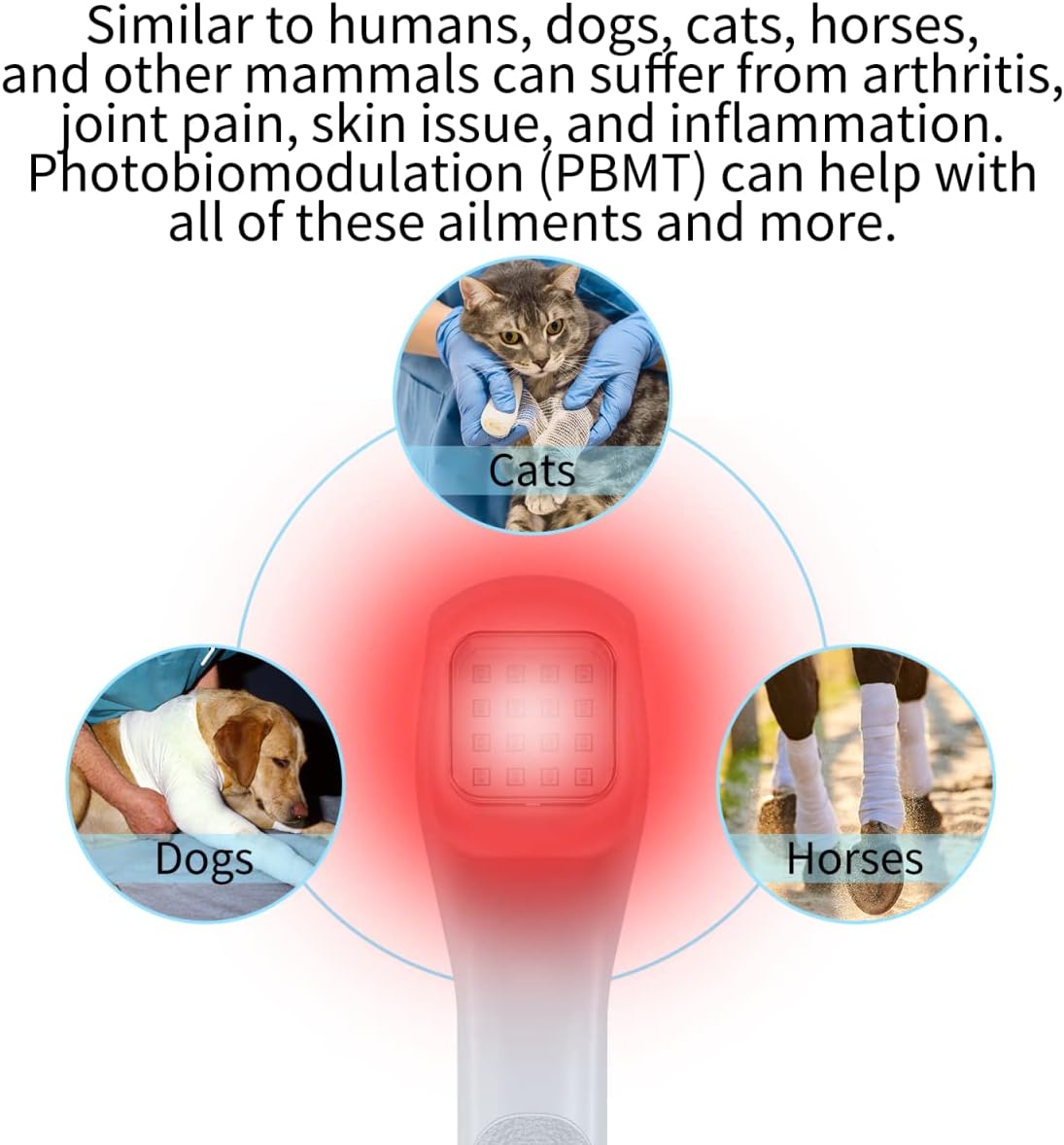 pet light therapy device, help dogs and cats showing dimensions