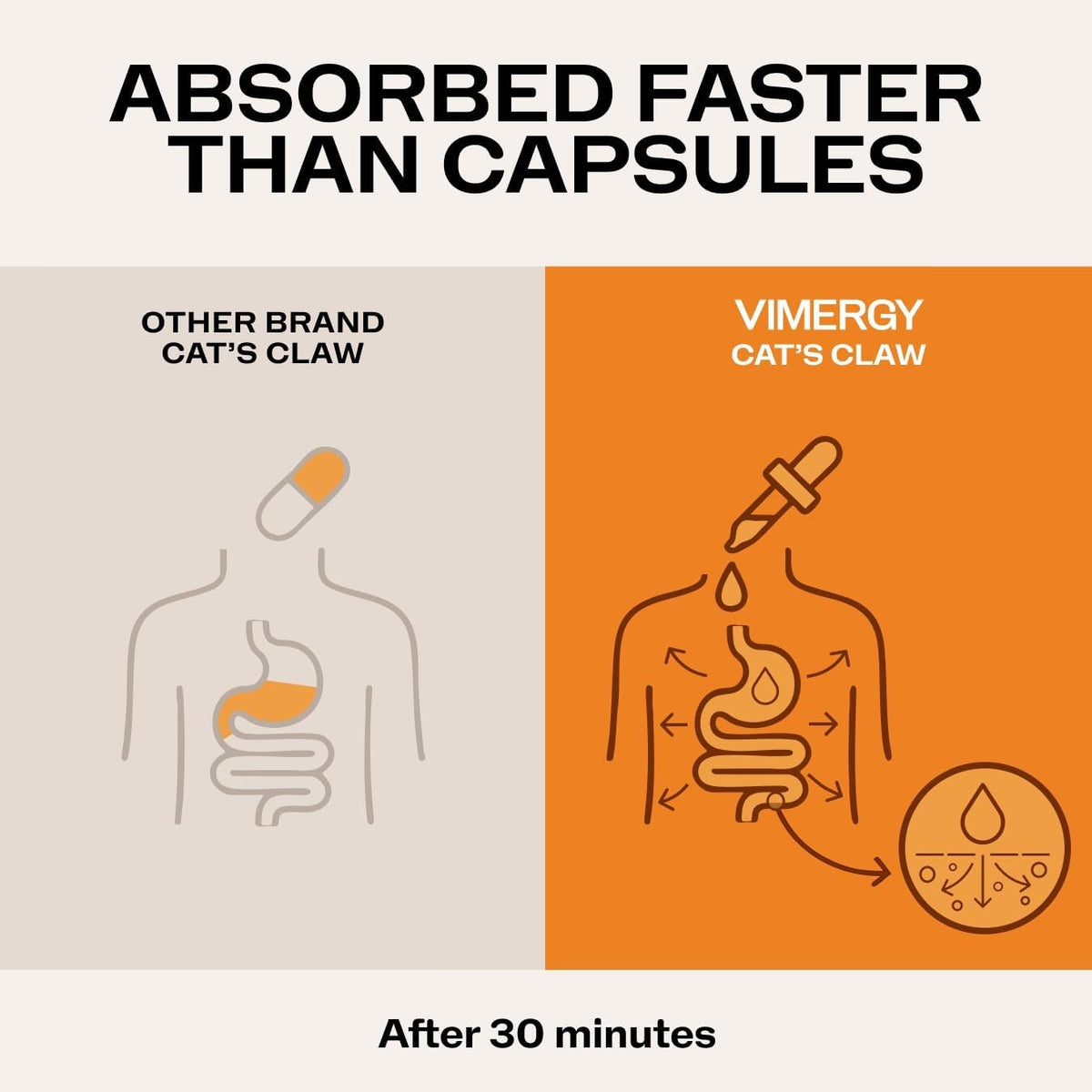 cat's claw 10:1 extract, whole body immunity*, alcohol-free, side view