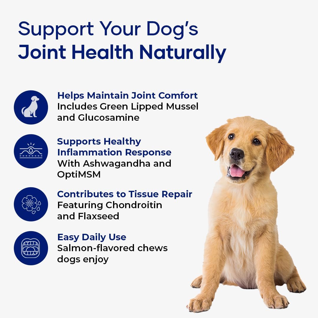 hip and joint supplement for dogs – glucosamine, side view