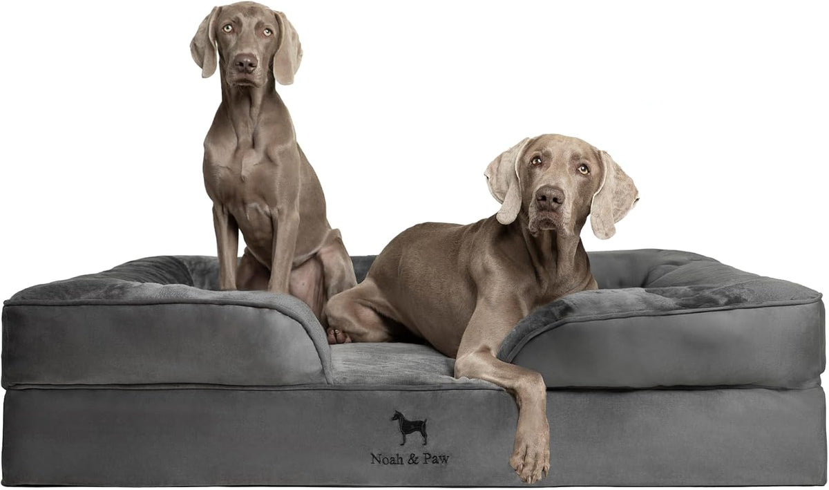 noah & paw xxl dog bed, orthopedic memory, main product view