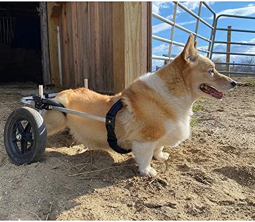 dog wheelchair back legs, adjustable, custom made in, close-up detail