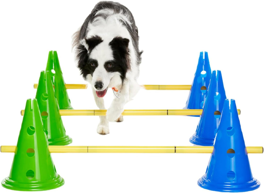 fitpaws® cavaletti set, dog agility, fitness, rehabilitation training, main product view