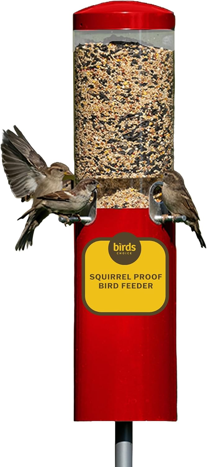birds choice classic squirrel resistant bird feeder with, main product view