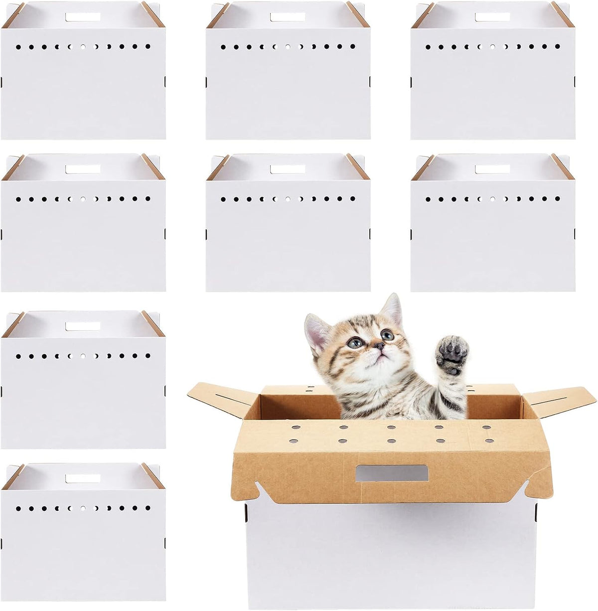 kisston 12 pieces cardboard pet carriers 17.5 x, main product view