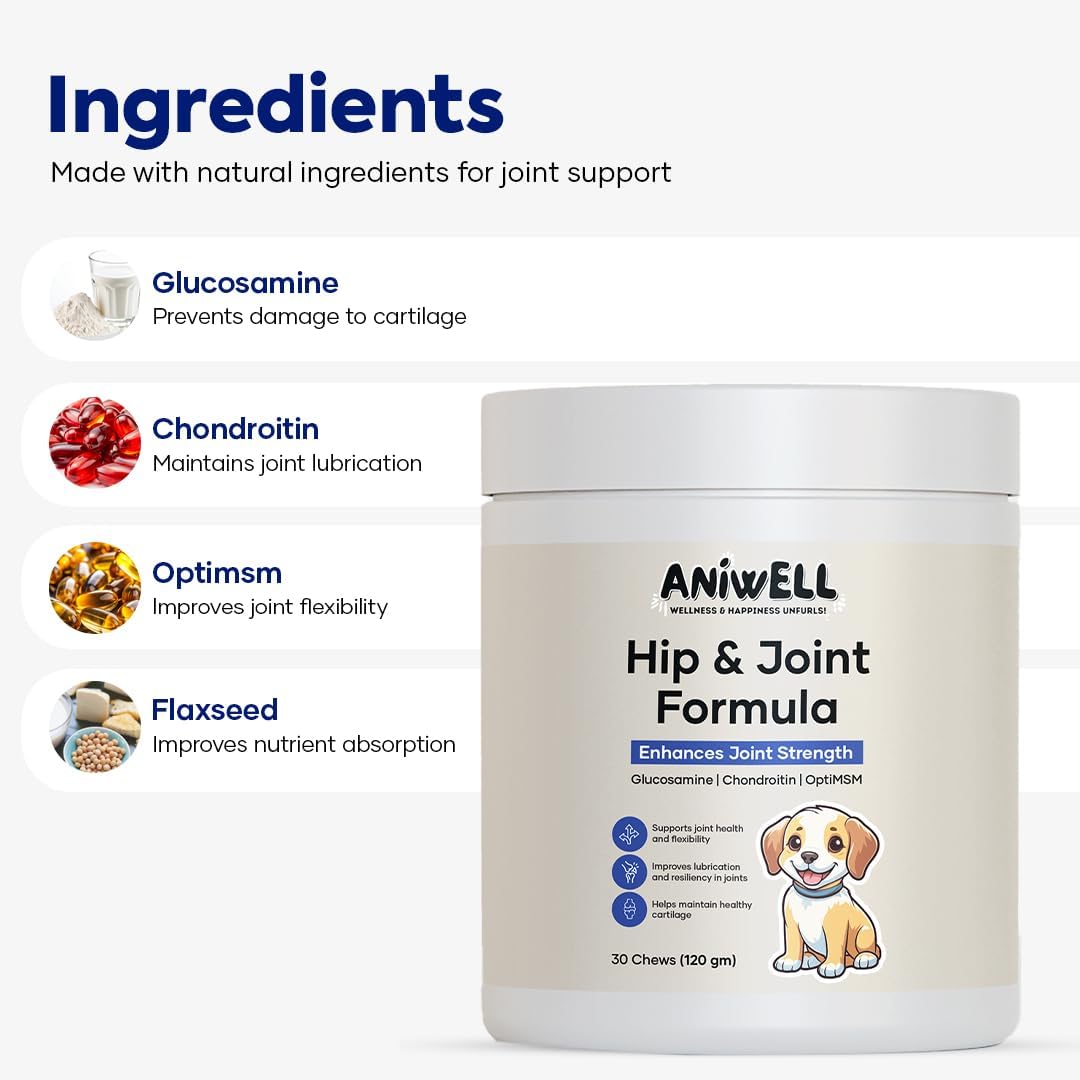 hip and joint supplement for dogs – glucosamine shown in use