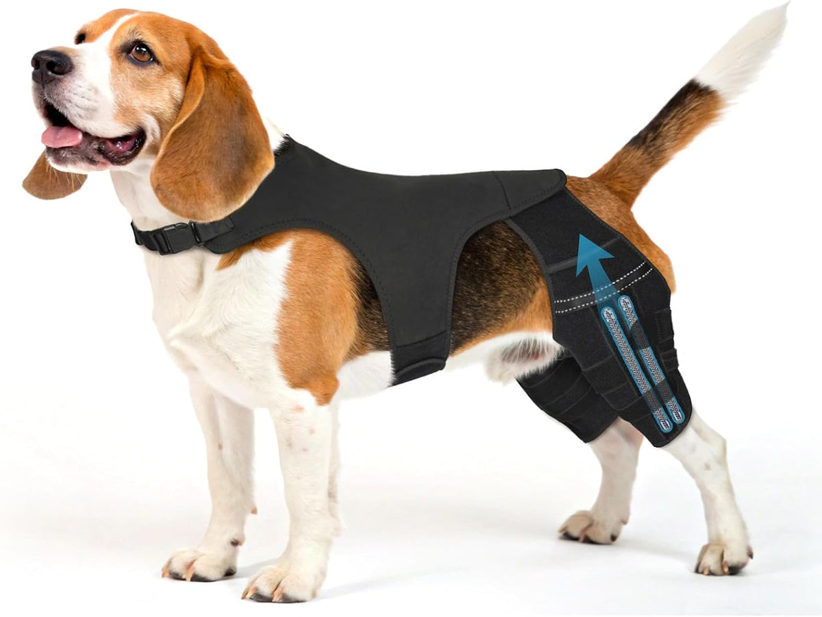 dog knee brace for torn acl hind leg, main product view