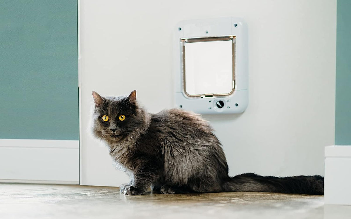cat mate microchip activated cat flap (360) for shown in use