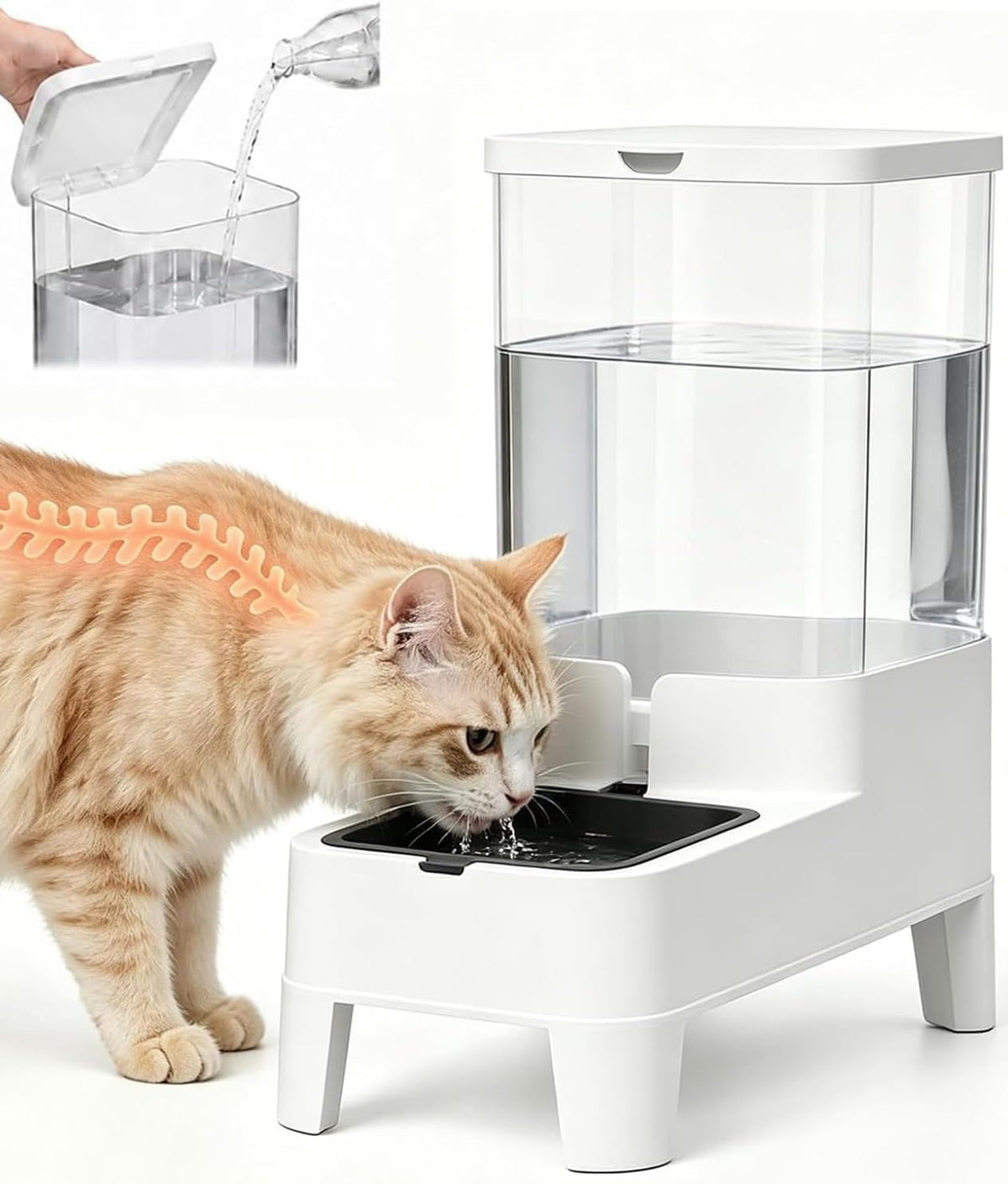 automatic pet water dispenser bowl 4l for cats, main product view