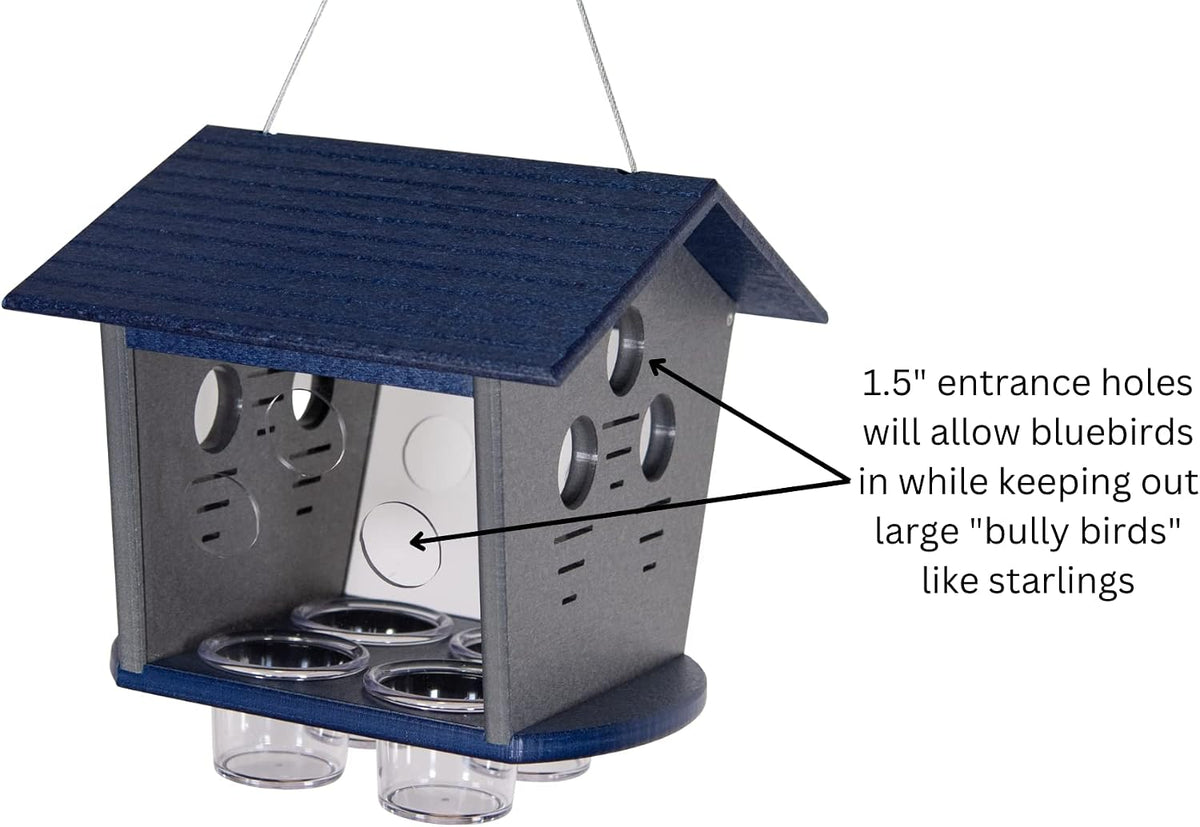 jcs wildlife enclosed bluebird feeder, keeps starlings and showing dimensions