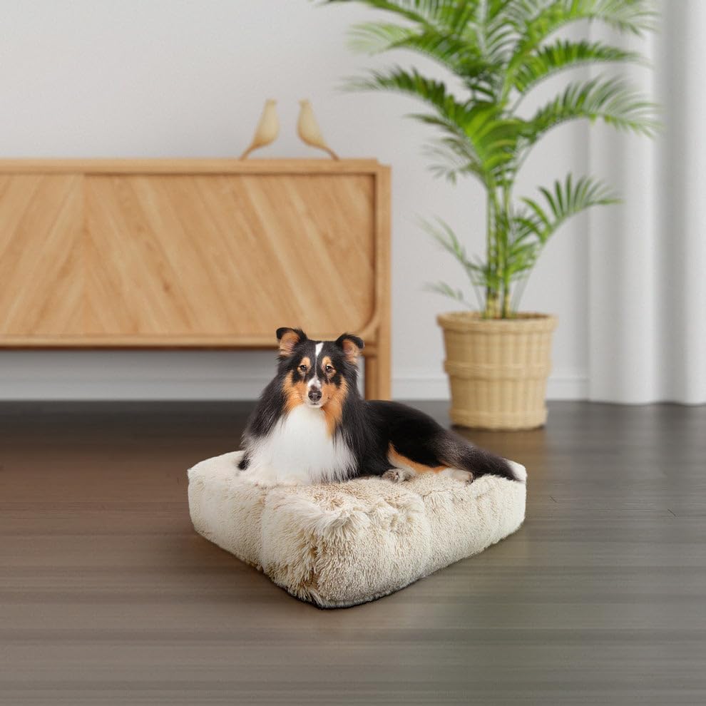 bessie and barnie frosted willow extra plush shag shown in use