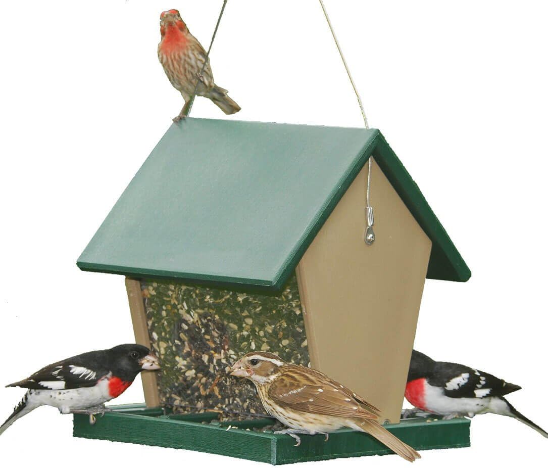 songbird essentials serubhf75 recycled plastic large hopper feeder, main product view