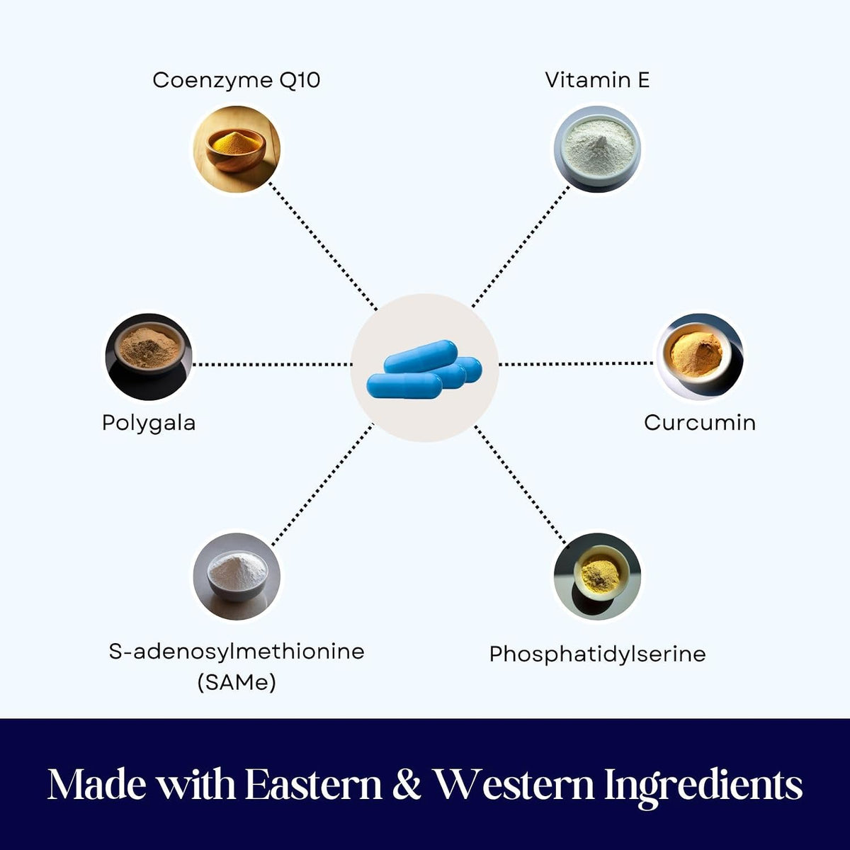 cognicaps dog dementia calming cognitive supplement - clinically, close-up detail