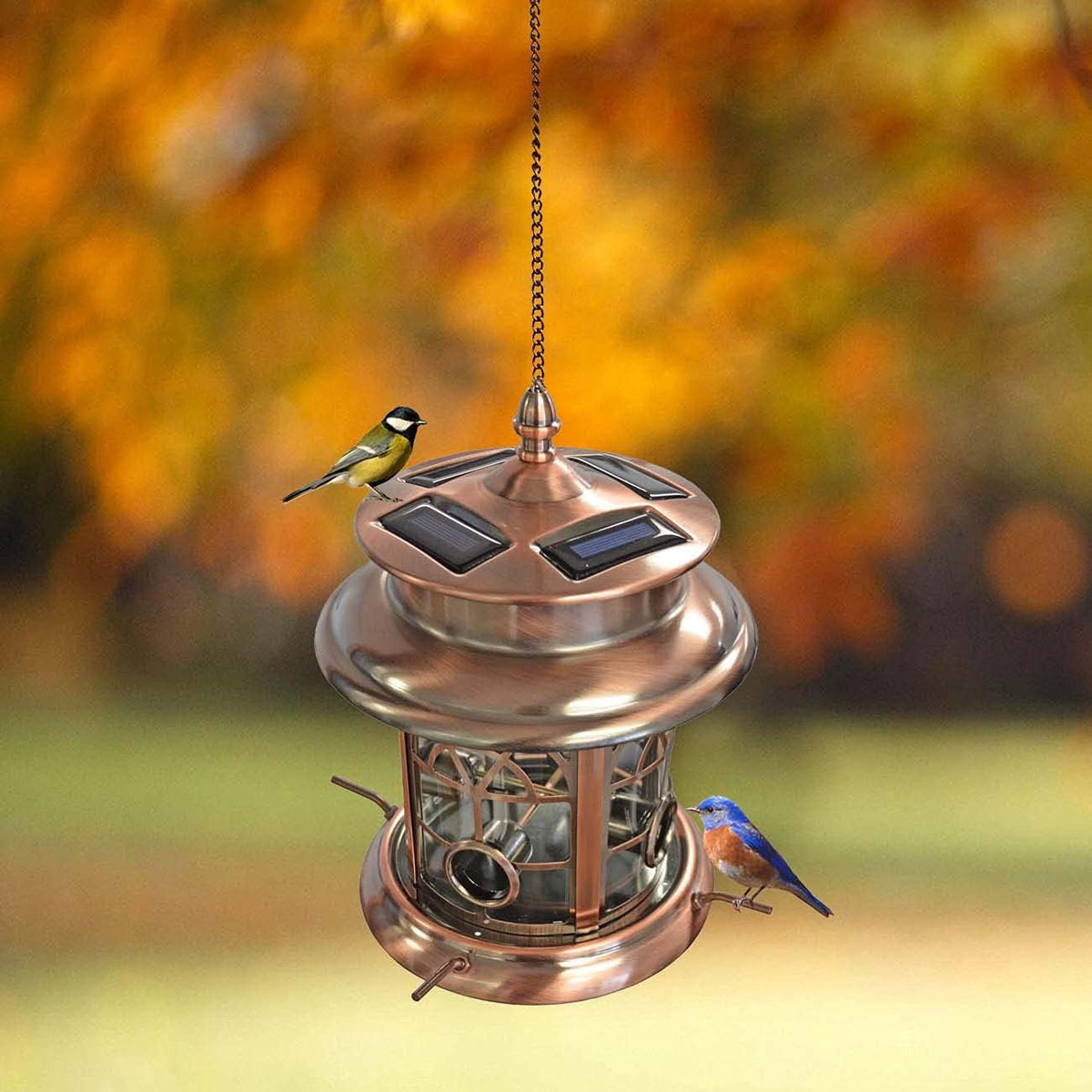 westcharm solar bird feeder for outdoors hanging | shown in use