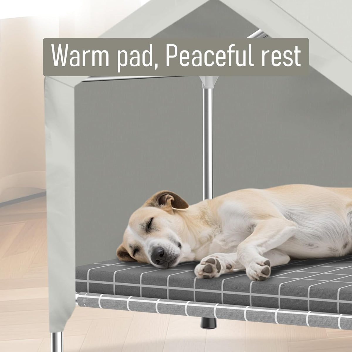 elevated dog house with cushion, stainless steel dog shown in use