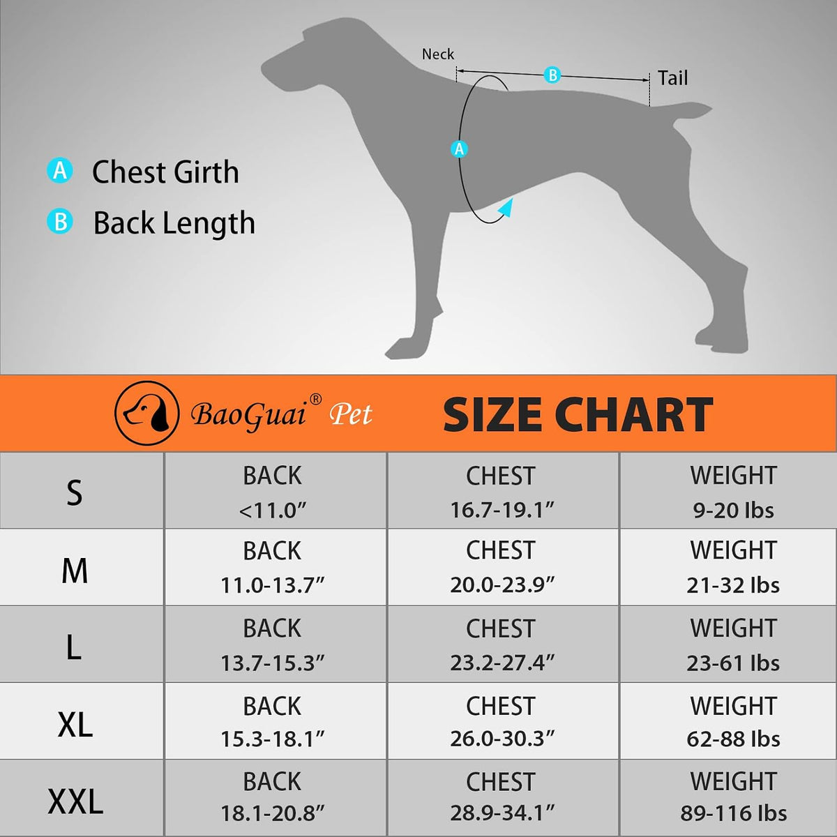 dog back brace for arthritis, dog hip brace shown in use