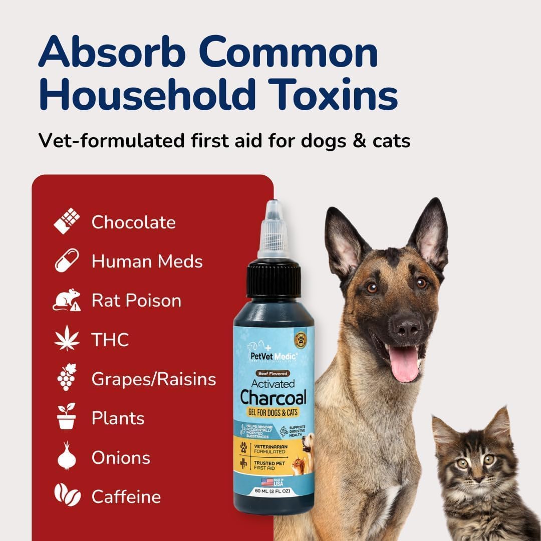 activated charcoal for dogs, cats & puppies – shown in use