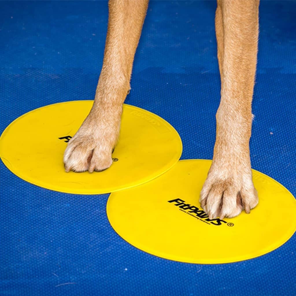 fitpaws® targets, dog fitness and agility training, rehabilitation shown in use