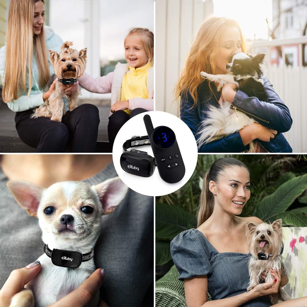 exuby - tiny shock collar for small dogs shown in use