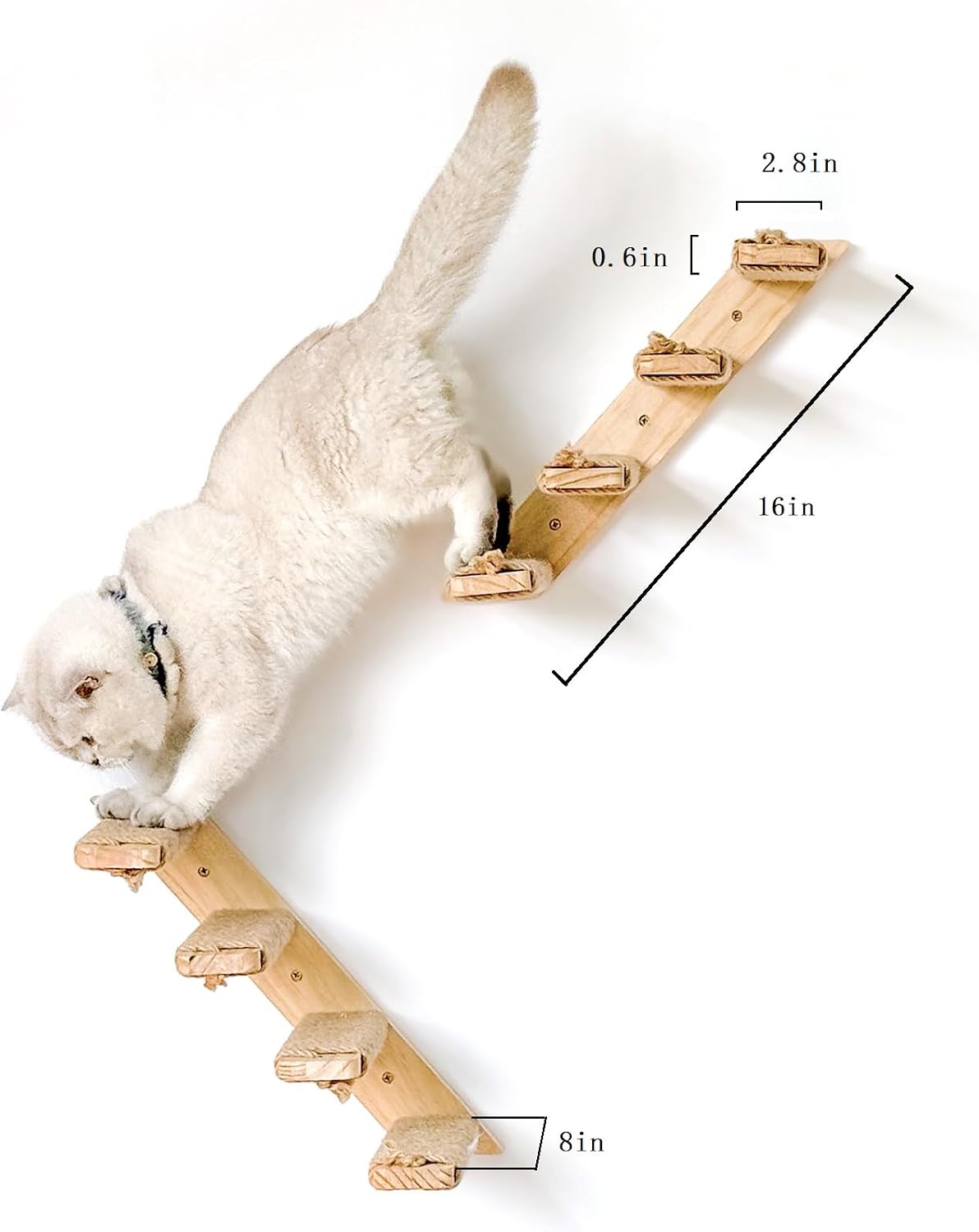 4 steps cat wall shelves and stairs with, close-up detail