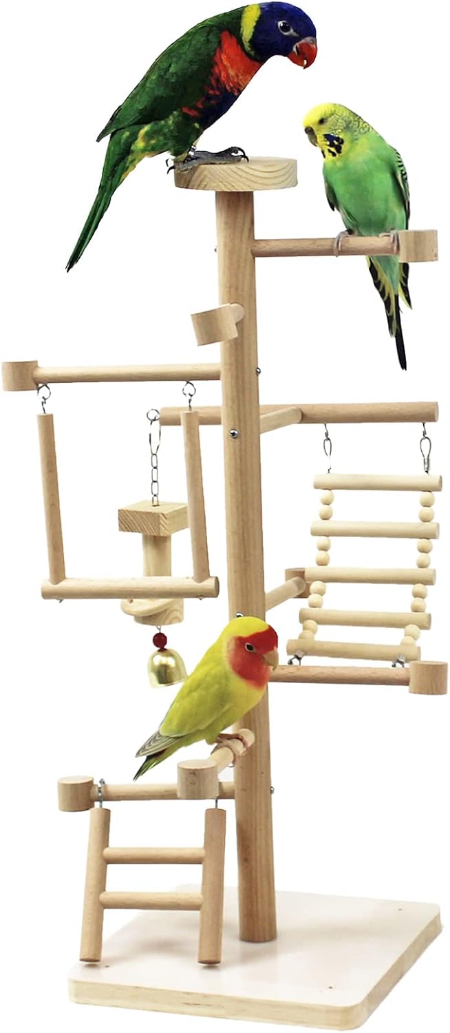 wood bird playstand with perch swing ladder chewing shown in use