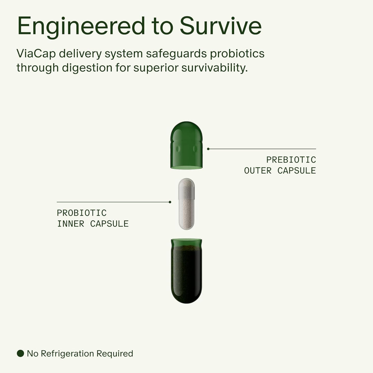 seed ds-01 daily synbiotic - adult probiotic +, side view