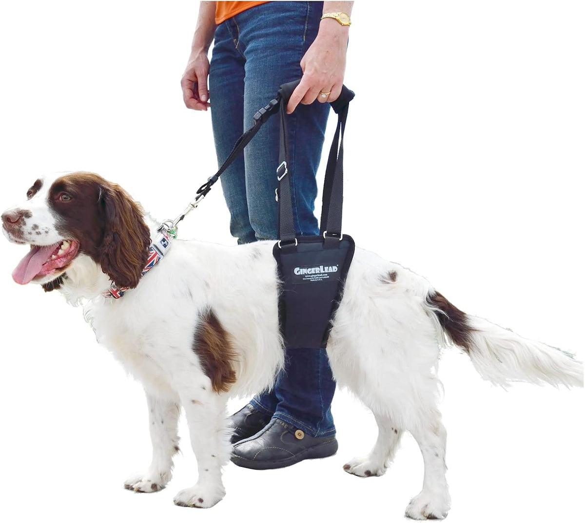 gingerlead® dog support sling rear leg harness, sm, main product view