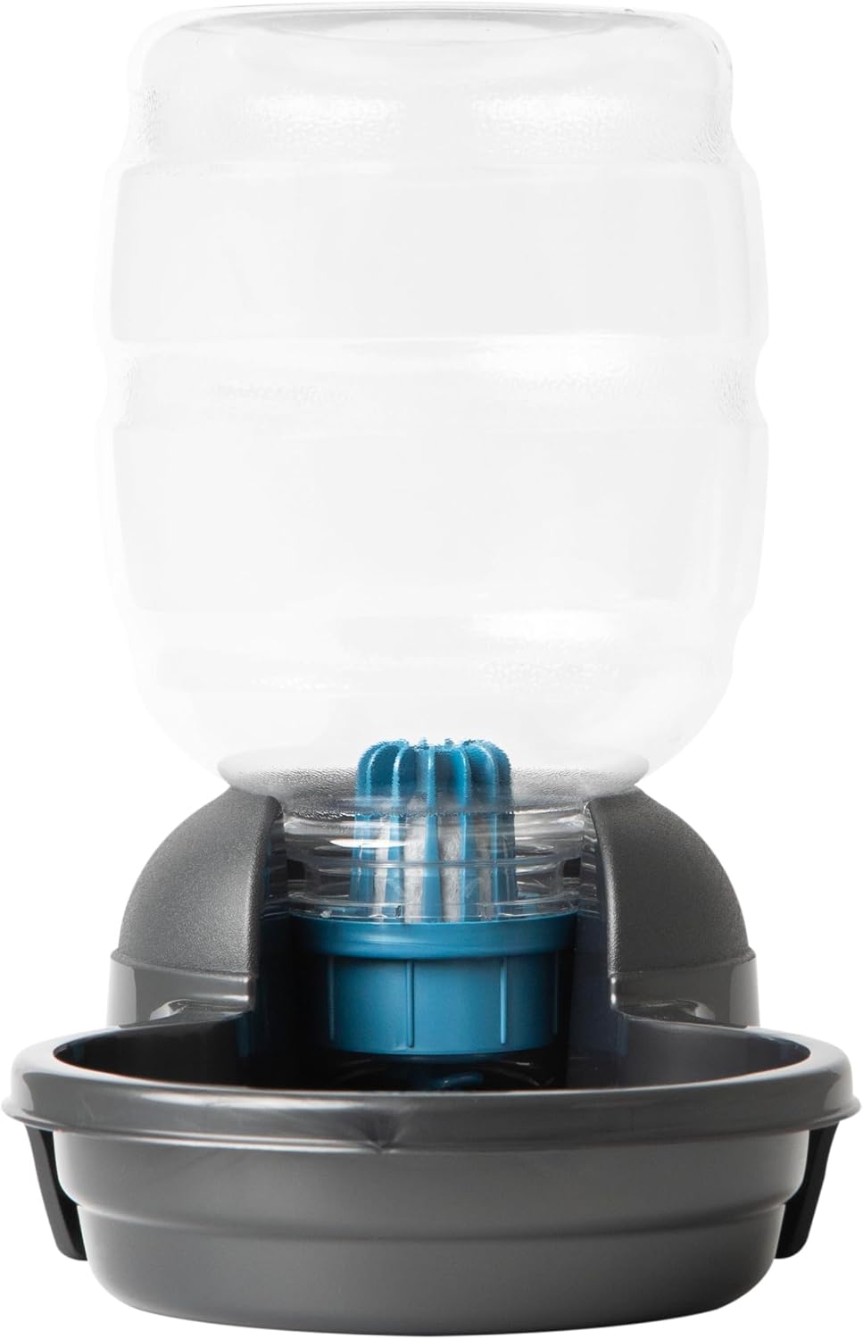 petmate replendish waterer and feeder set, 1 gallon shown in use