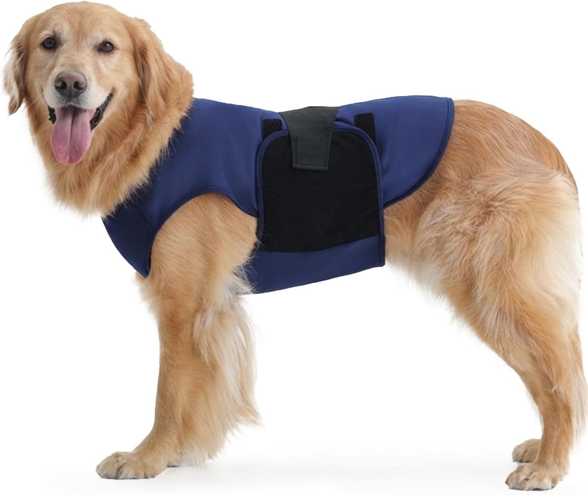 iecoii dog anxiety vest stretch gentle pressure calming, main product view