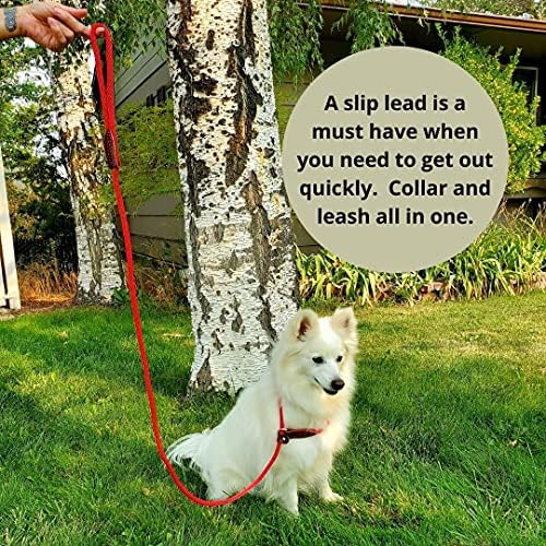 pet evacuation survival kit for small to medium showing dimensions