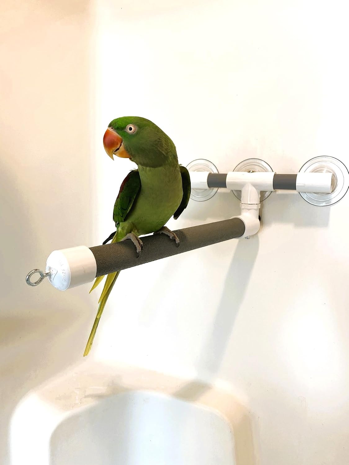 polly's portable window-shower perch with suction cups for showing dimensions