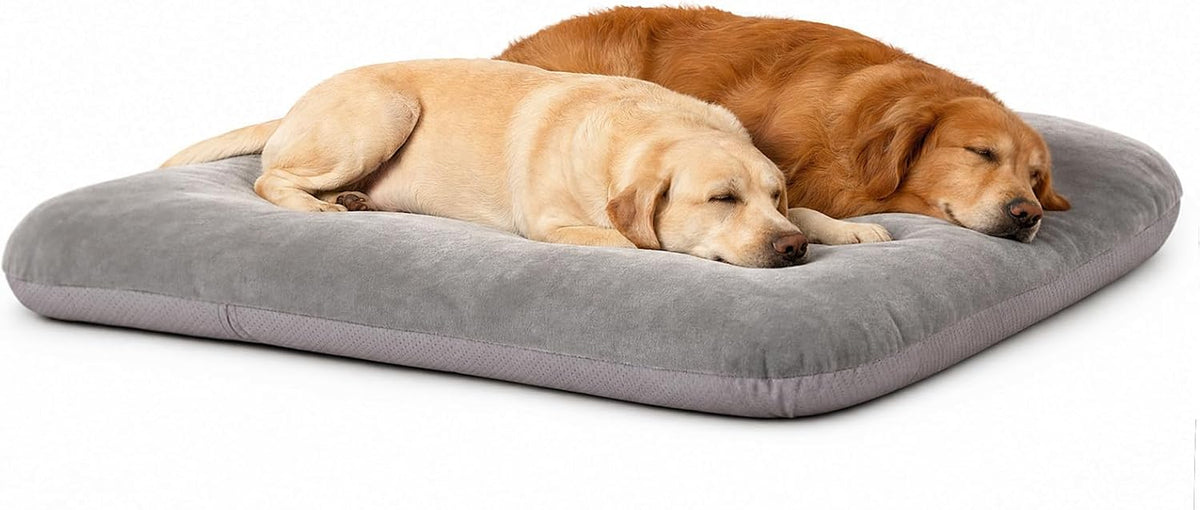 magic dog orthopedic extra large dog bed 47, main product view