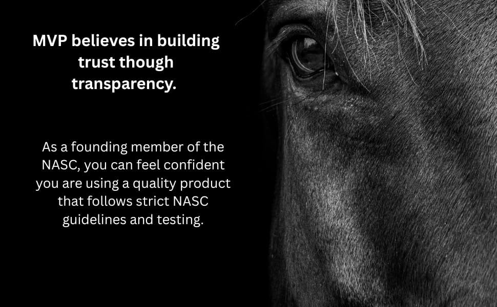 mvp exceed 6-way (16lb) high level performance horse showing dimensions