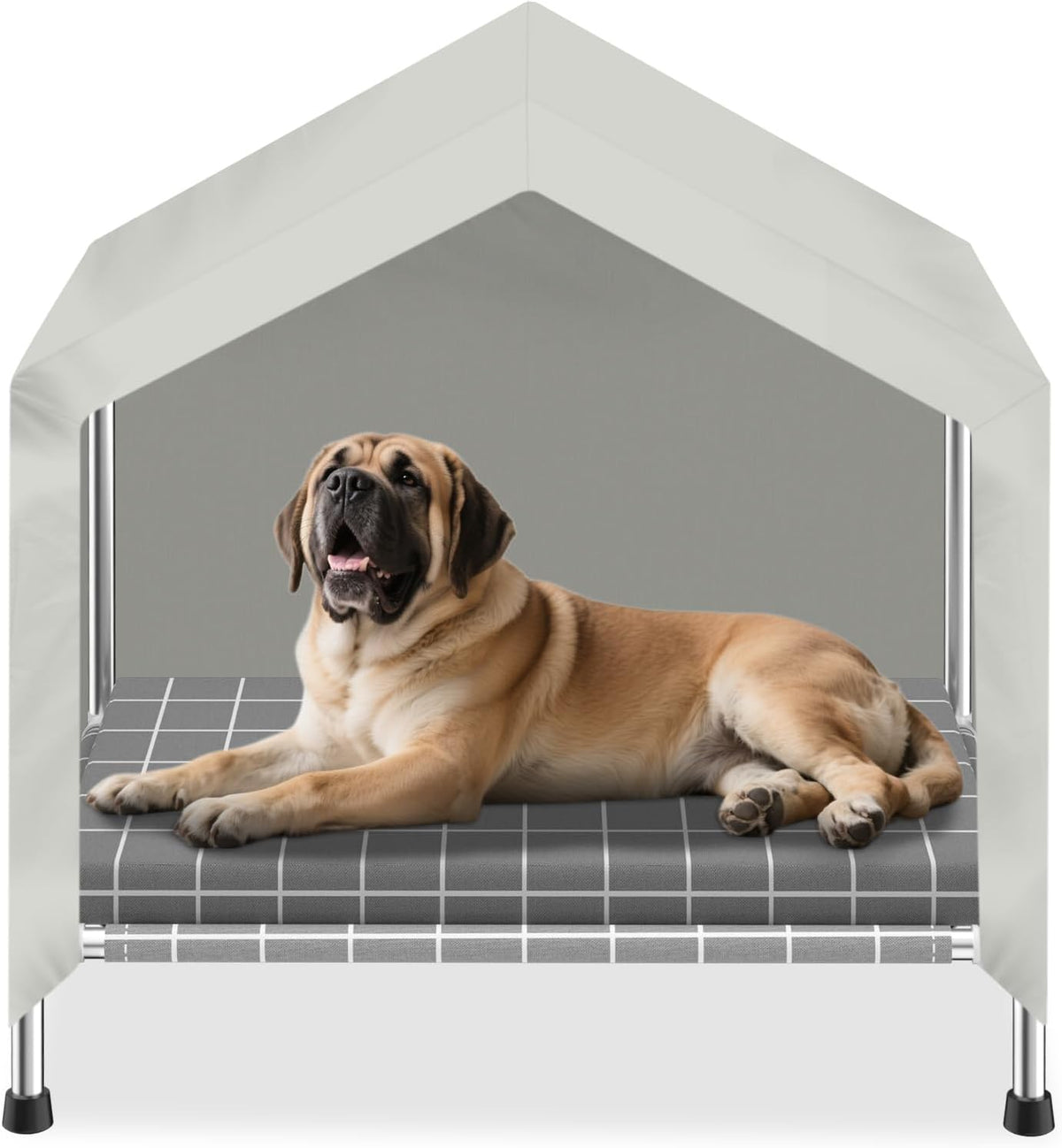 elevated dog house with cushion, stainless steel dog, main product view