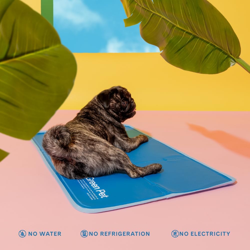 the green pet shop cool pet pad showing dimensions