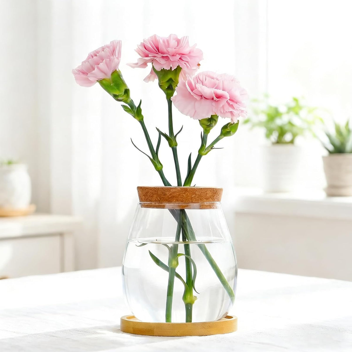 0.5 gallon fish bowl betta fish tank glass, side view
