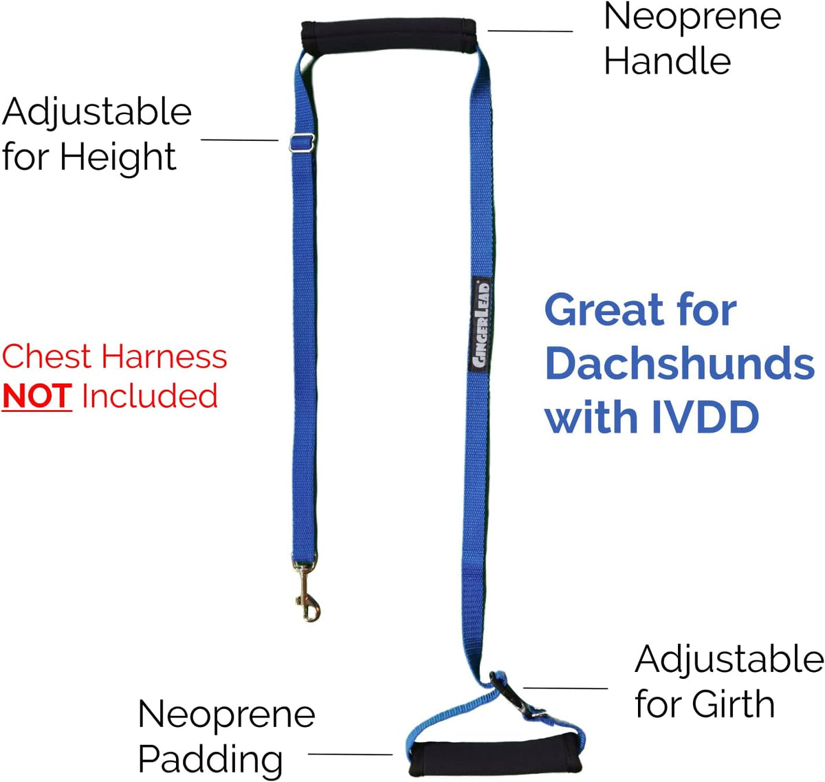 gingerlead® dog back support ivdd sling harness, x-small showing dimensions