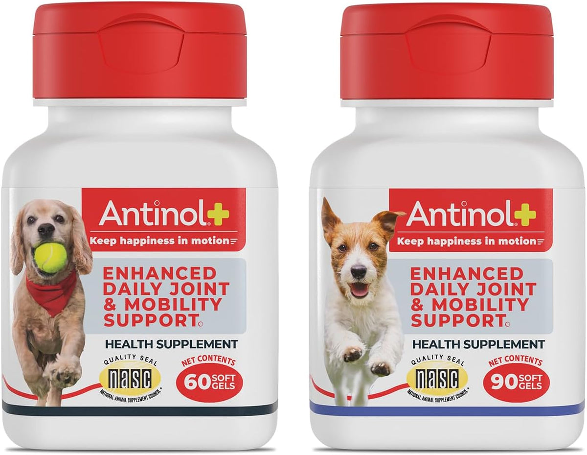 antinol plus mobility hip & joint supplement for, main product view