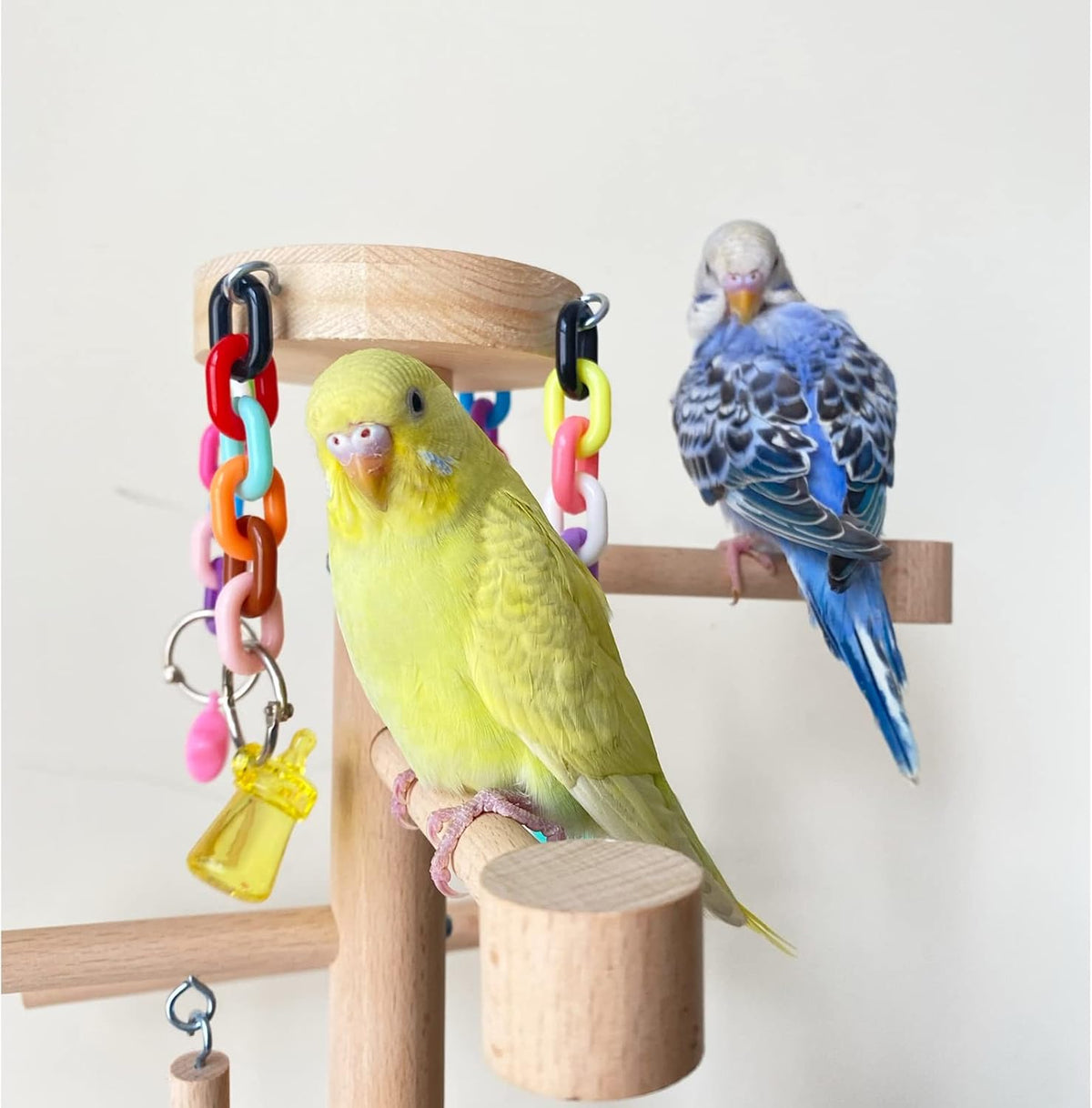 wood bird playground parrots climbing perch parakeets swing shown in use