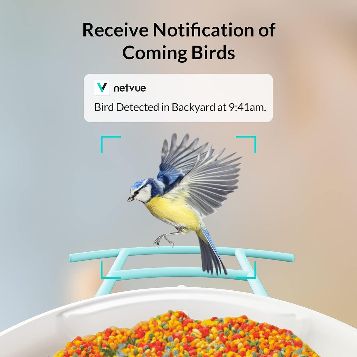 netvue by birdfy smart bird feeder with camera, close-up detail