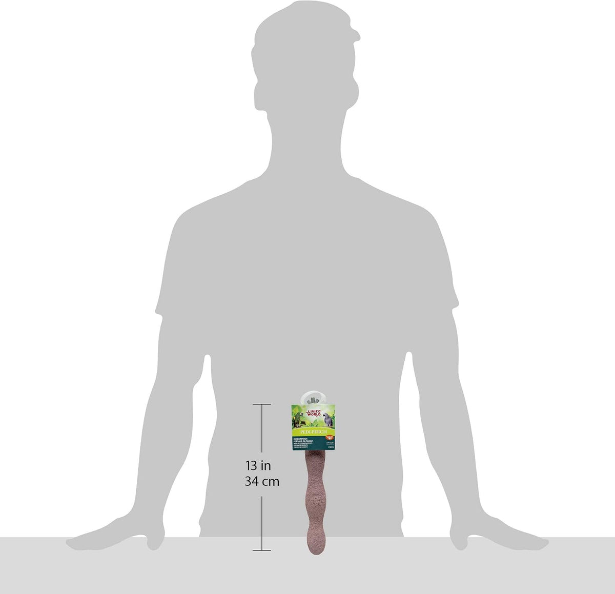 living world pedi-perch, large showing dimensions