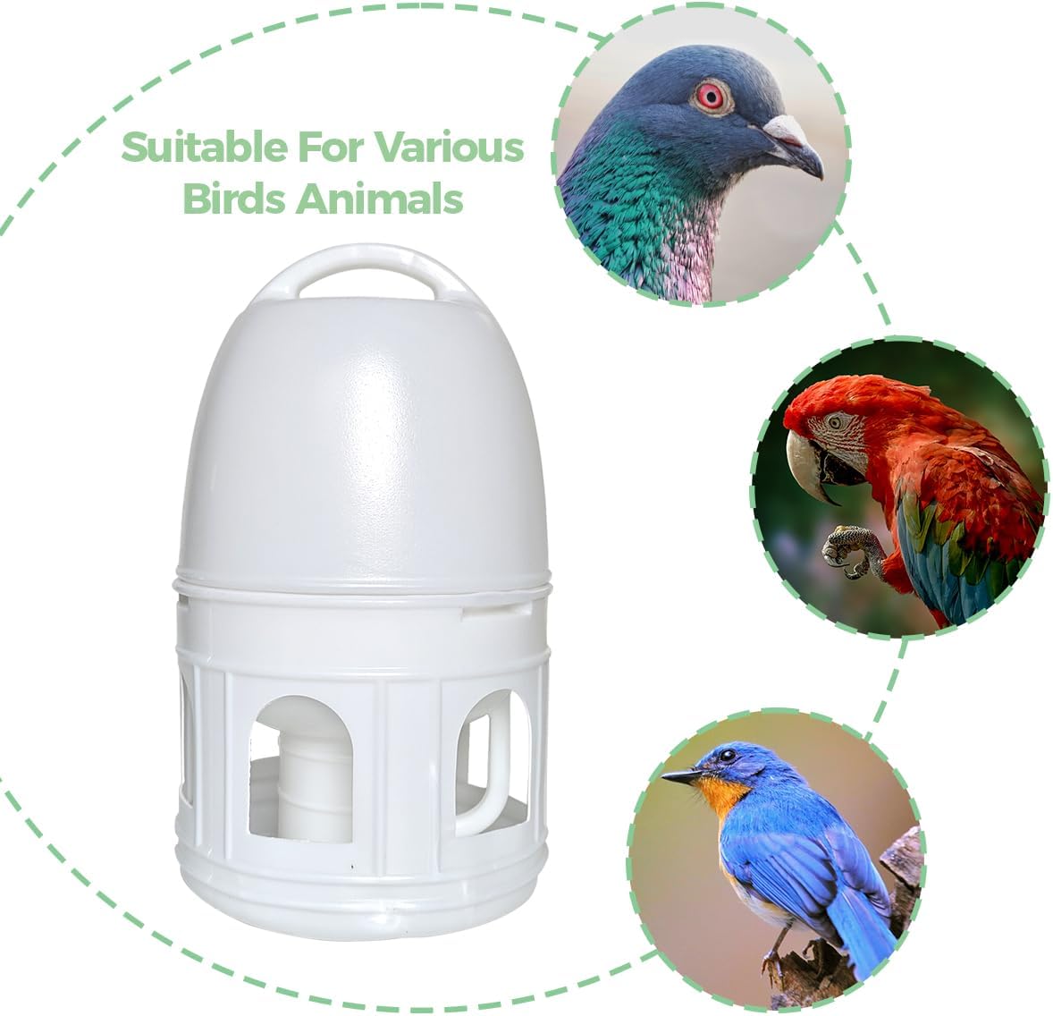 bird water drinker, pigeon water feeding plastic drinker showing dimensions