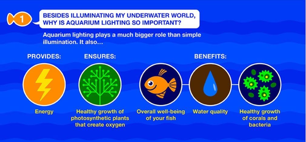 marineland white led aquarium light, for fish tanks showing dimensions