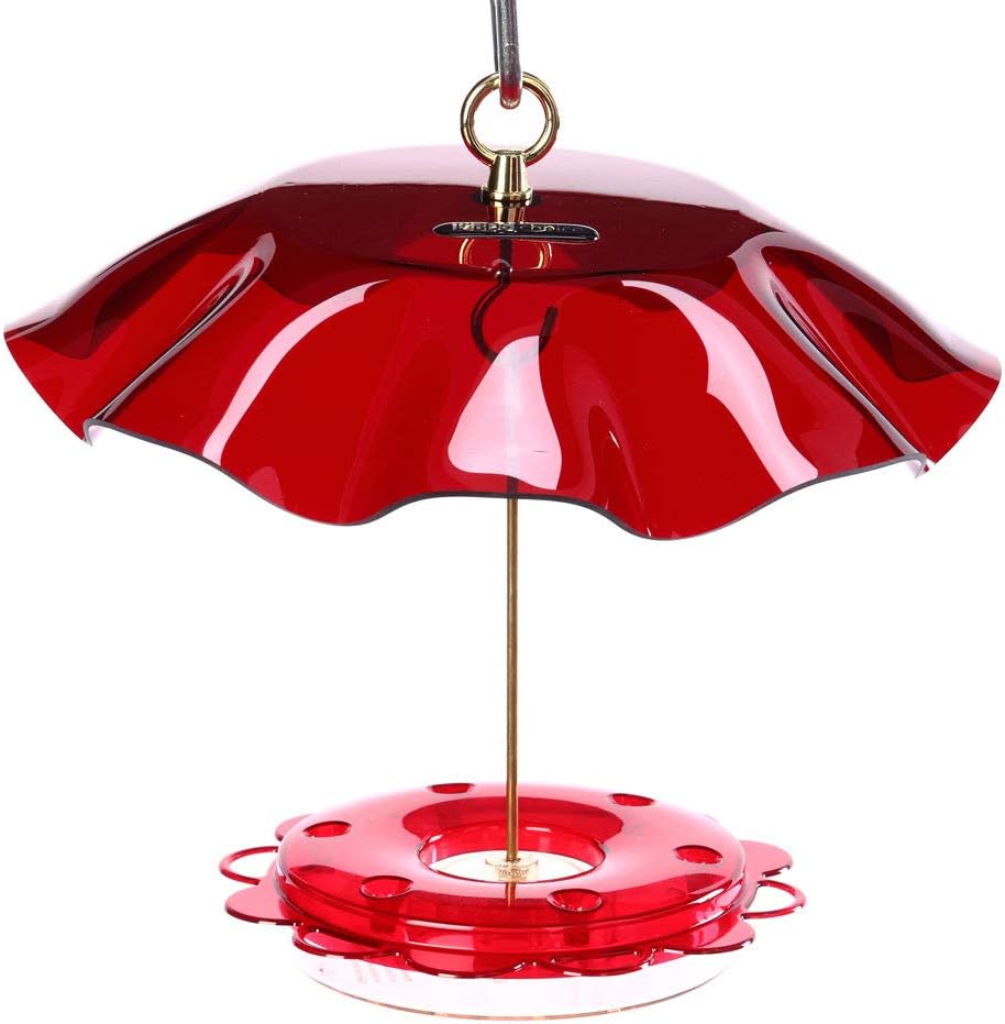 birds choice hummerfest hummingbird feeder with weatherguard |, main product view