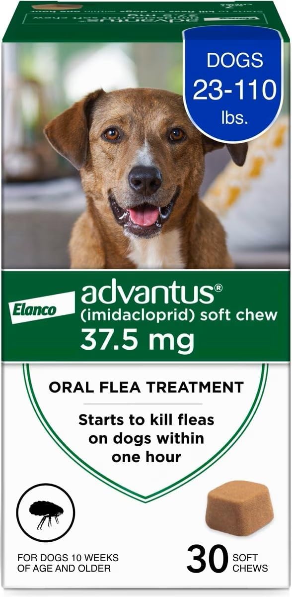 advantus (imidacloprid) soft chew flea treatment for dogs, main product view