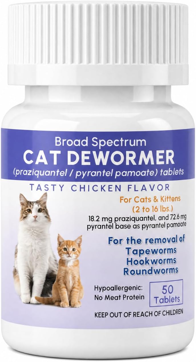 dewormer for cats & kittens, broad spectrum praziquantel, main product view