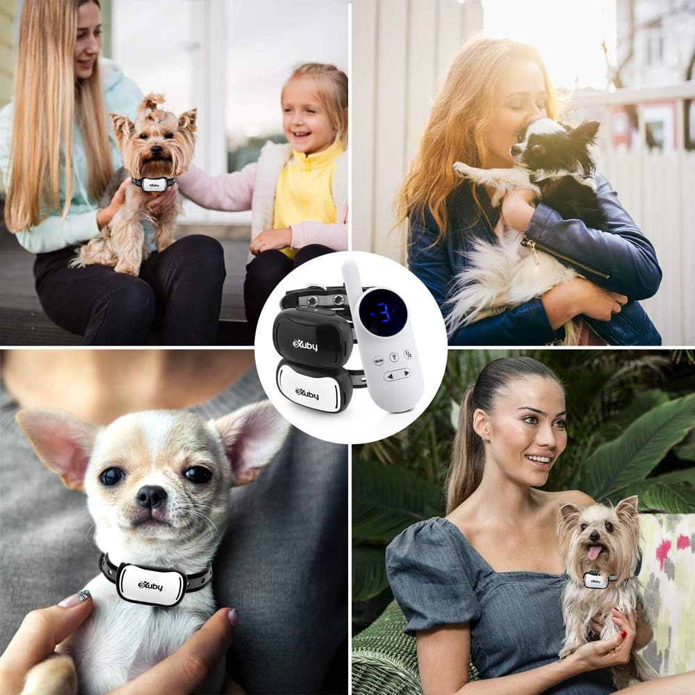 exuby tiny dual shock collar - smallest collar shown in use