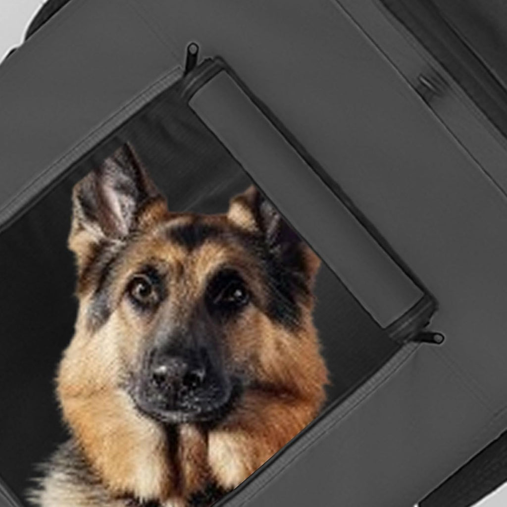 tiggo veelar sports pets large dog bike trailer, front angle view